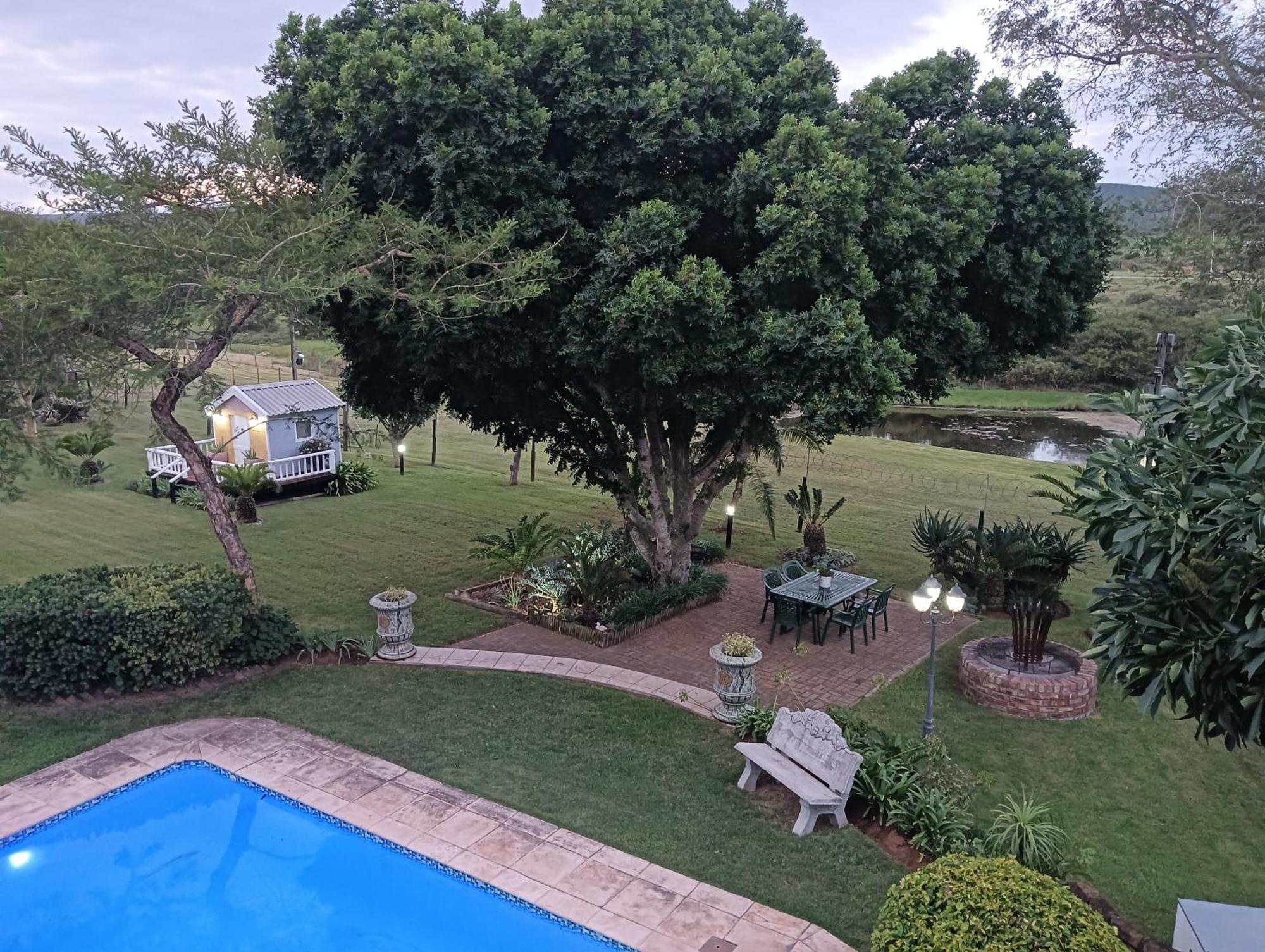 Little Tree Loft 2 Bed & Breakfast Uitenhage Exterior foto
